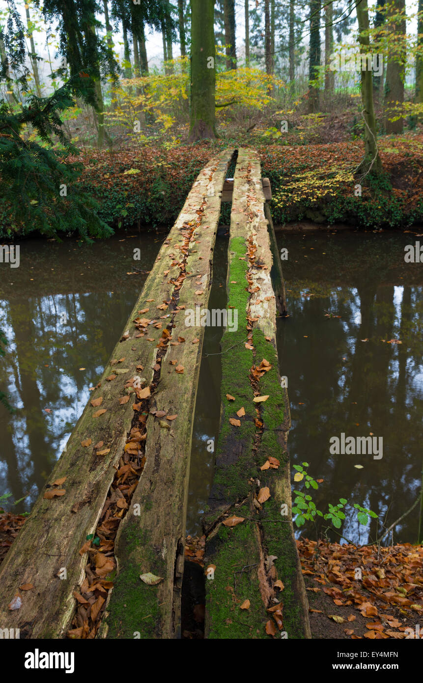 primitive bridge made out of some planking Stock Photo