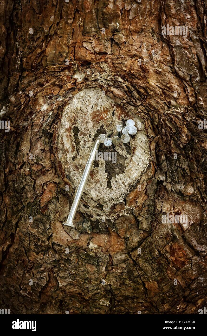 Wood with nails hires stock photography and images Alamy