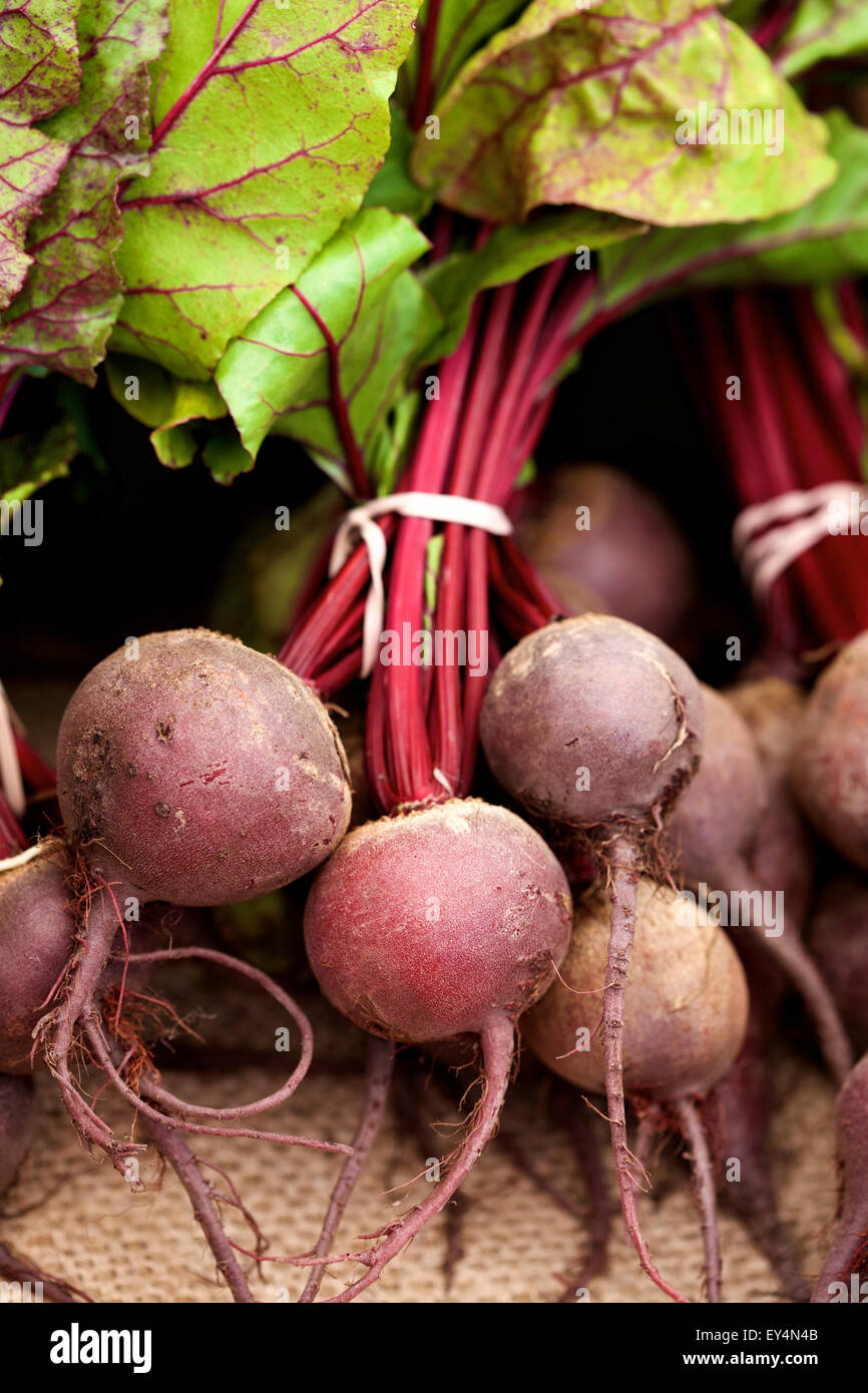 Beetroot roots hi-res stock photography and images - Alamy