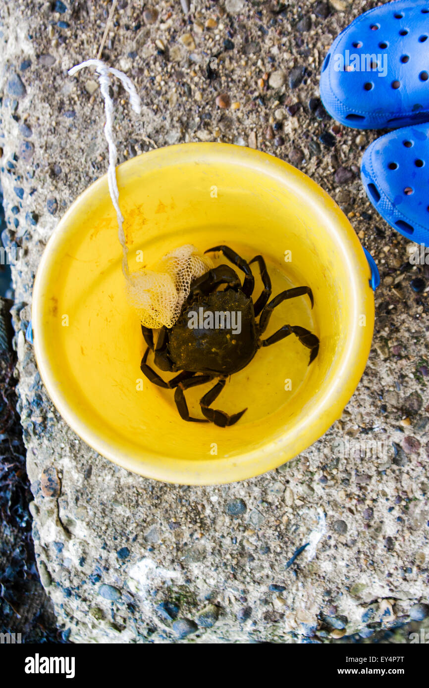 Crabbing bucket and line hi-res stock photography and images - Alamy
