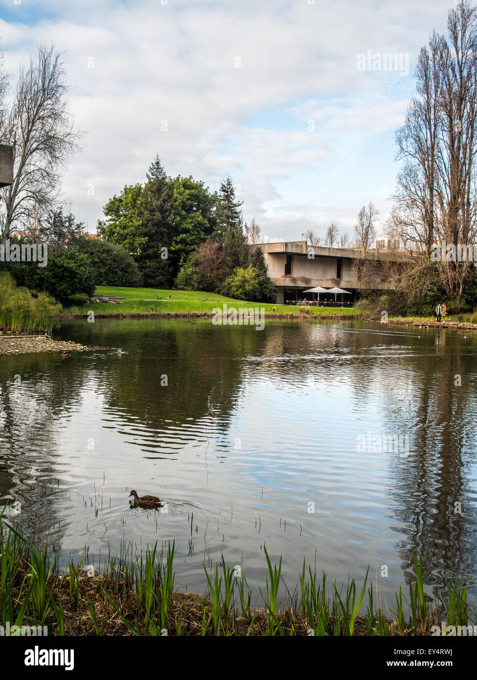 Gulbenkian Park High Resolution Stock Photography and Images Alamy