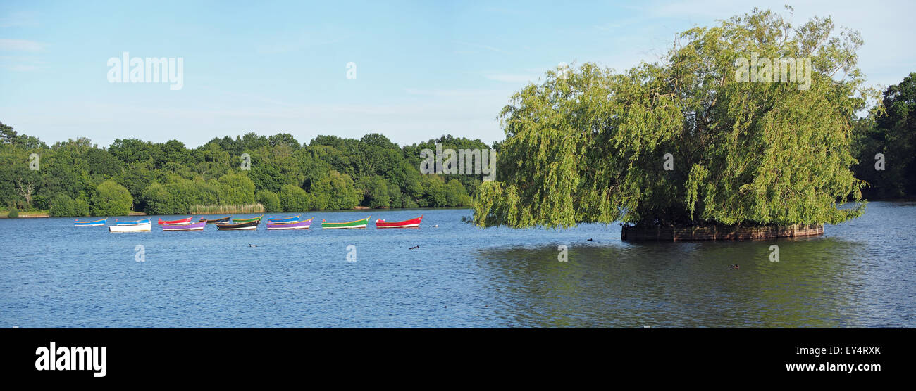 View of the calm still waters of Petersfield Heath on a summer evening Stock Photo