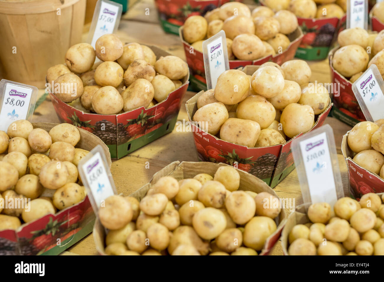 Baskets of potatoes at Jean Talon Market in Montreal Stock Photo