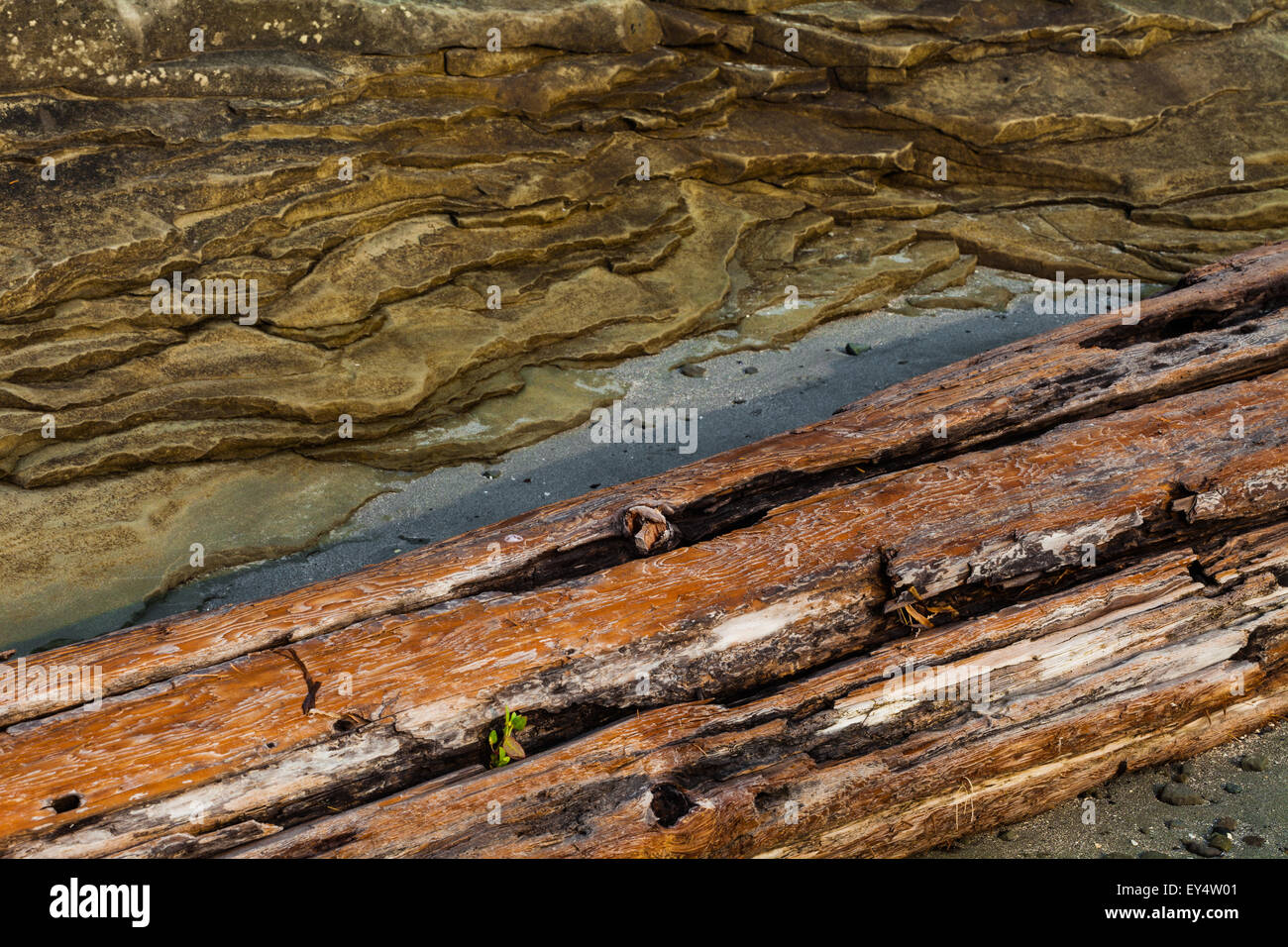 Abstract image of driftwood washed against a sedimentary rock shelf on a beach of Protection Island, British Columbia, Canada Stock Photo