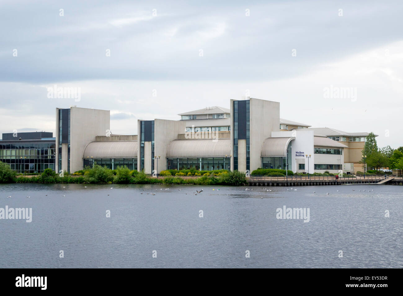 Wolfson Research Institute, Durham University Queen's Campus,  Thornaby, Stockton on Tees, from across the river Tees England UK Stock Photo