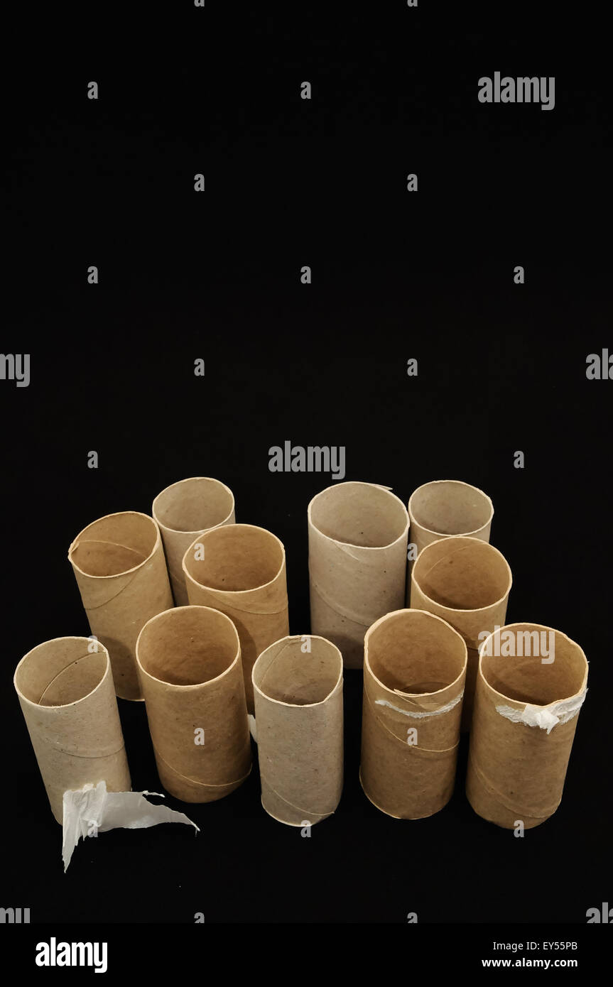 Empty Toilet Paper Roll Stock Photo Alamy