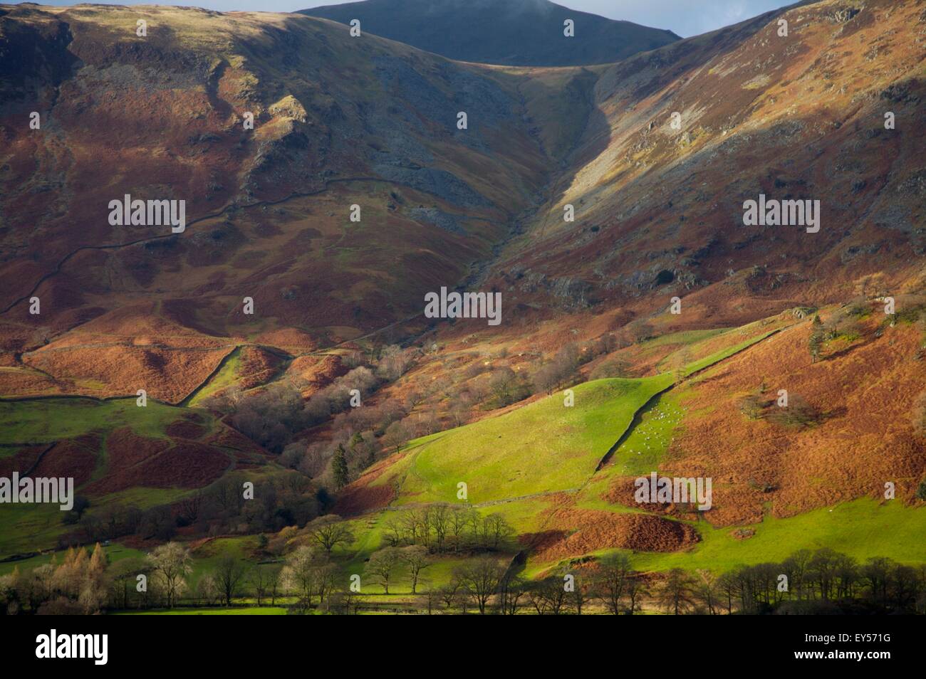 detail of hillside in Lake District, England. Stock Photo