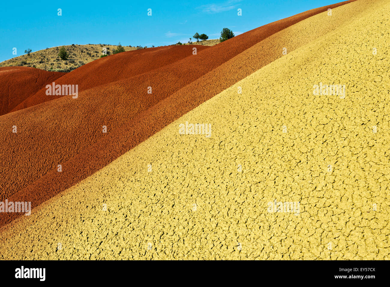 The Painted Hills John Day Fossil Beds Monument Volcanic ash deposited there 25 million years