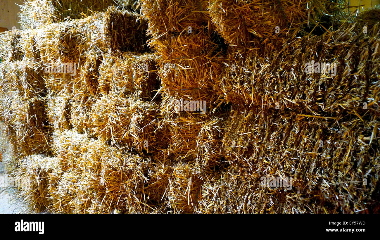 Straw bales stack in the farm house Stock Photo