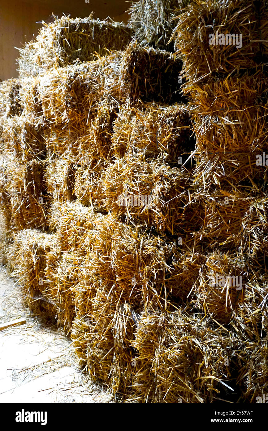 Straw bales stack vertical in the farm house Stock Photo