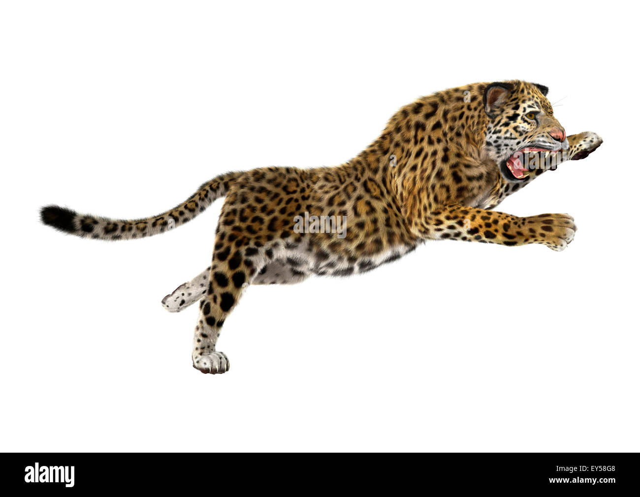 3D digital render of a big cat jaguar jumping isolated on white