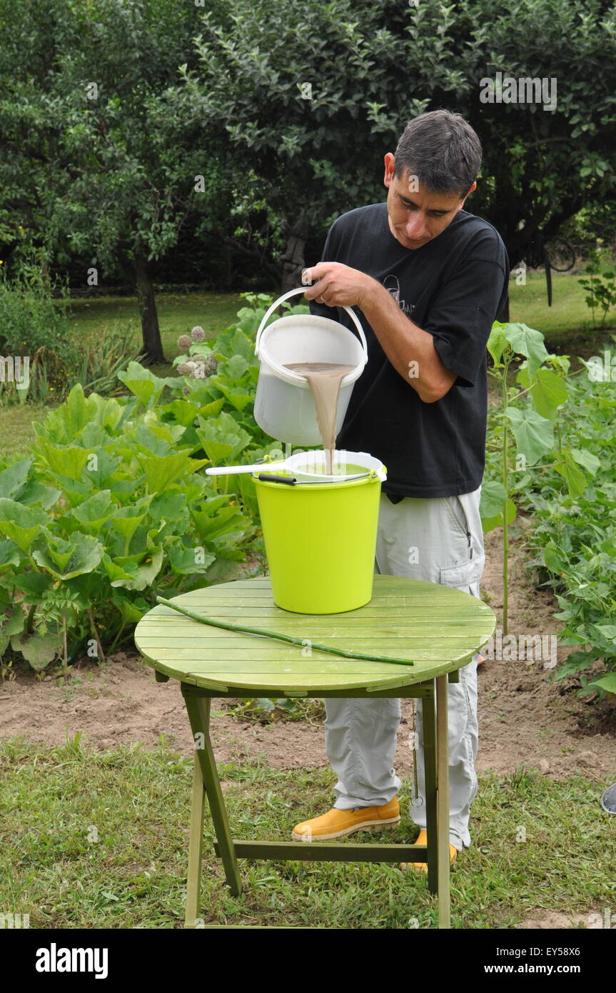 Mixing of a urine and ashes based fertilizer in a garden Stock Photo