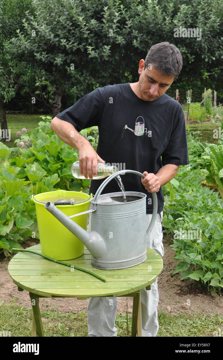 Mixing of a urine and ashes based fertilizer in a garden Stock Photo