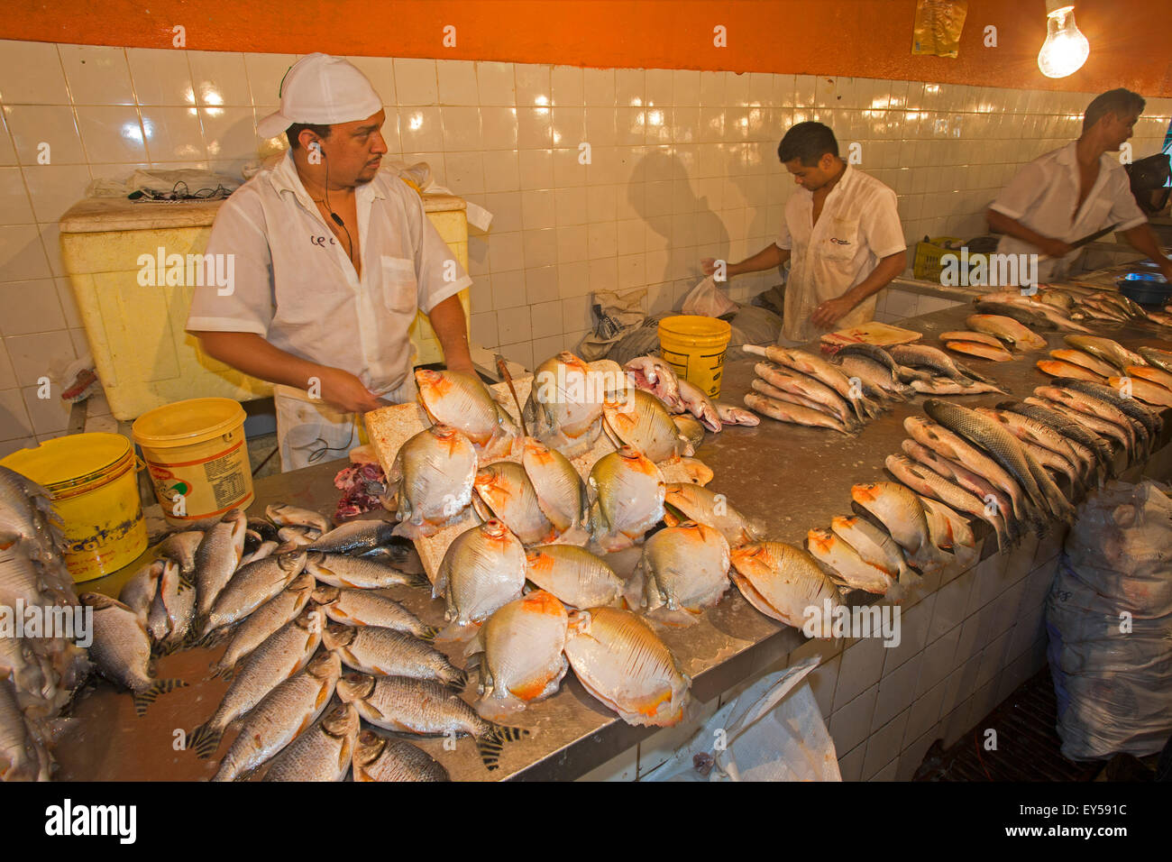 Fish market in Manaus - Amazonas Brazil Stock Photo