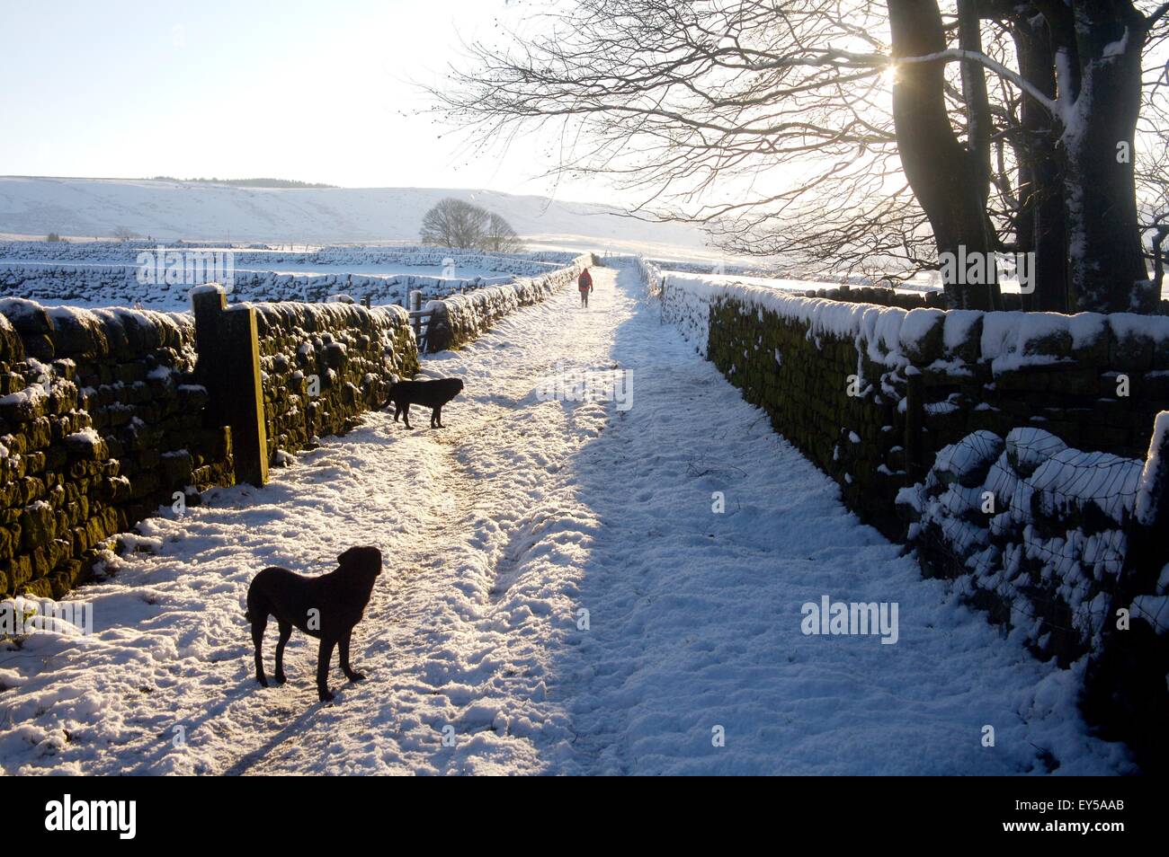 snowy country lane leading from Hebden Bridge to Stoodley Pike, Yorkshire Stock Photo