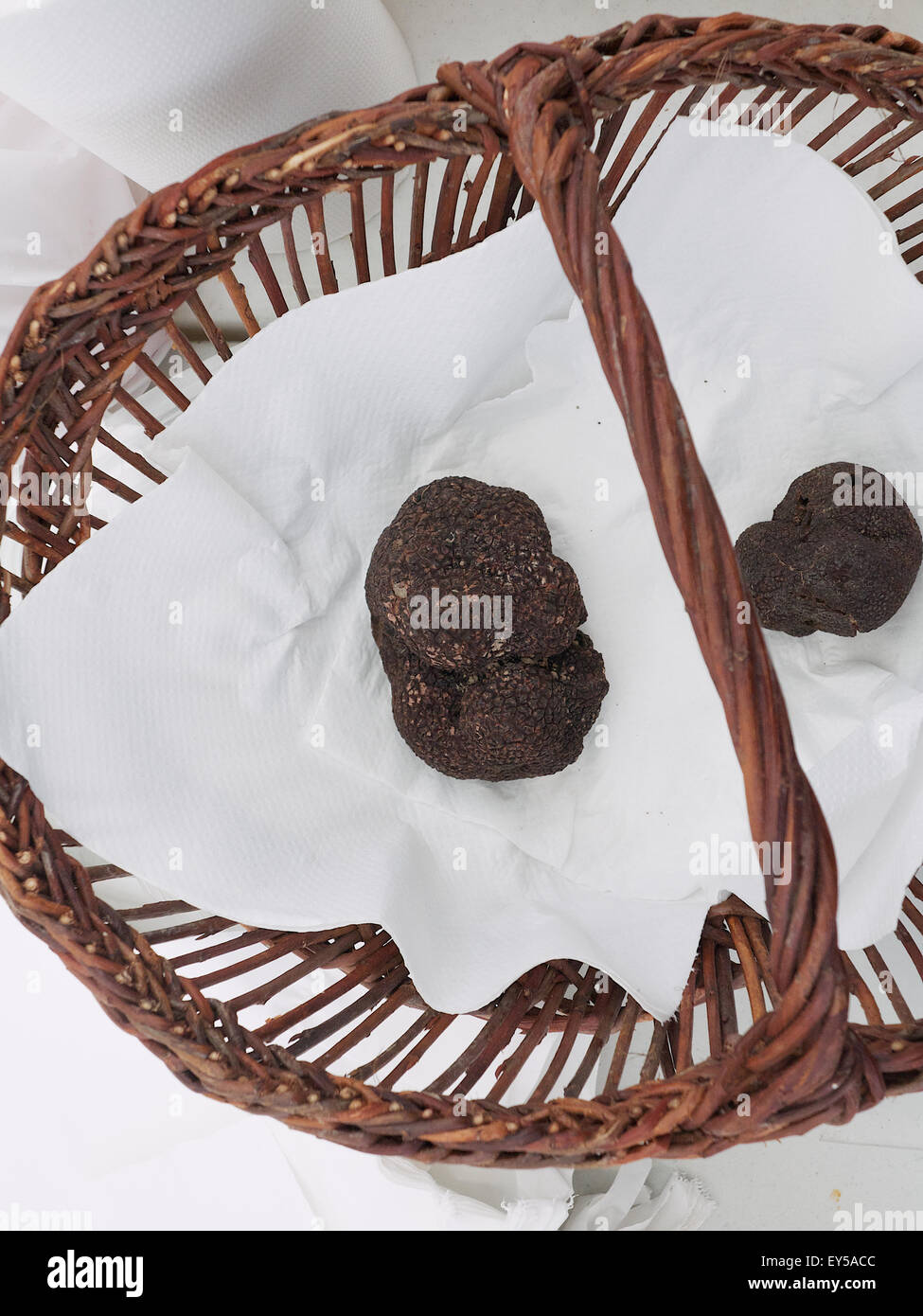 Black truffle or Perigord truffle in a basket - France Stock Photo