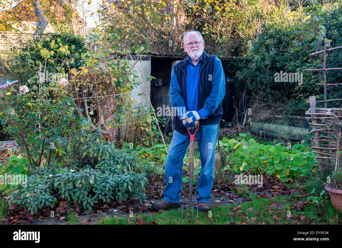 Older man in garden looking proud leaning on spade in garden Gloucestershire England UK Stock Photo