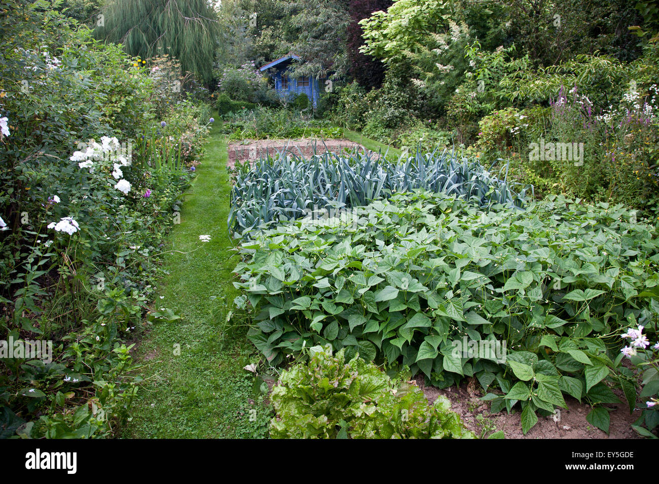 Kitchen garden at Jardins des Lianes - France Stock Photo