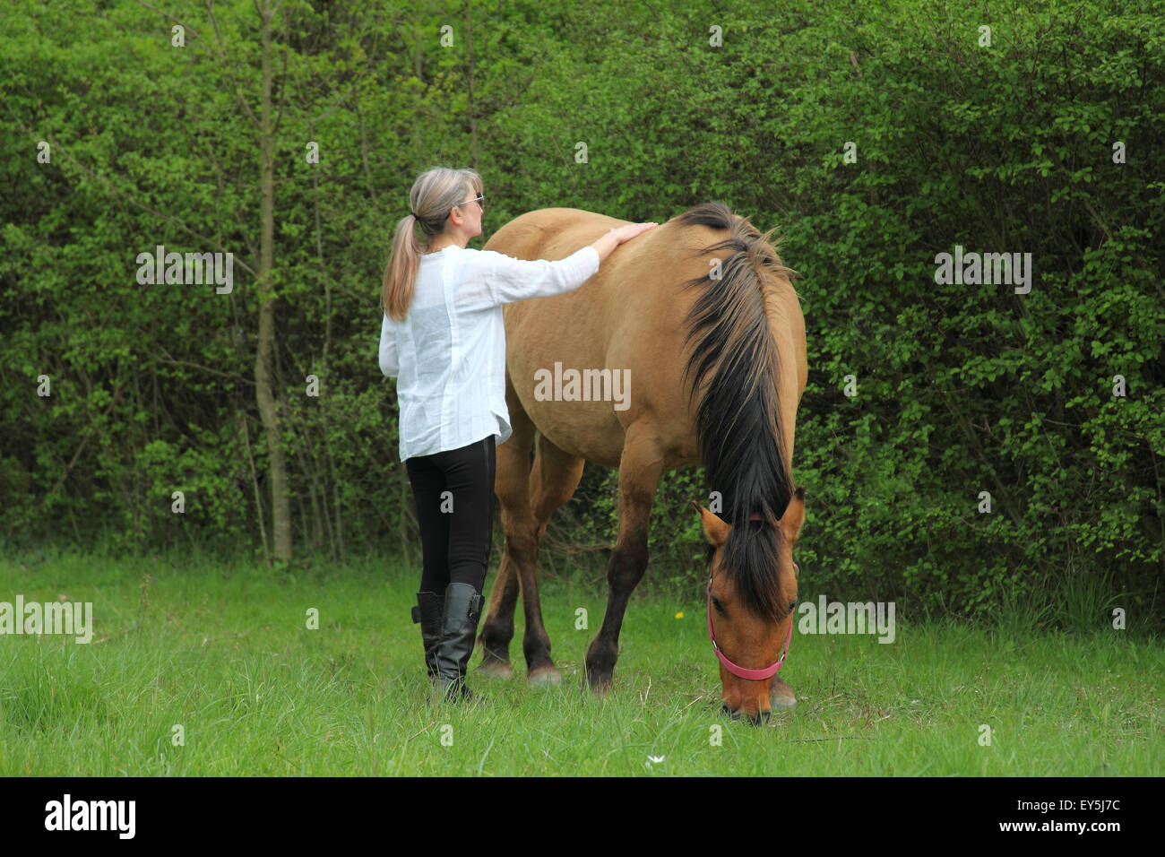 therapy on a horse Stock Photo Alamy