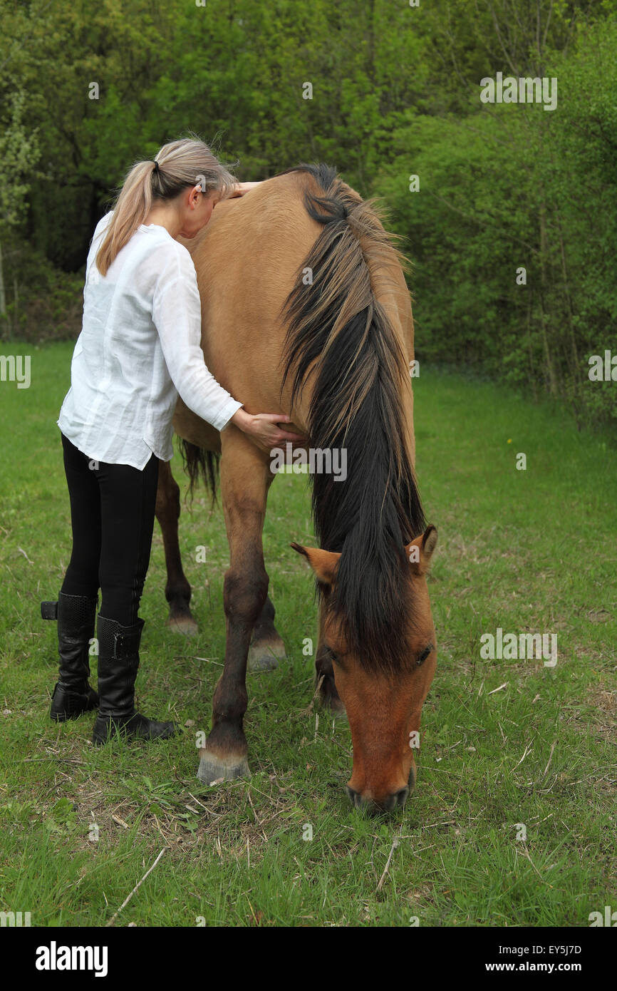 therapy on a horse Stock Photo Alamy