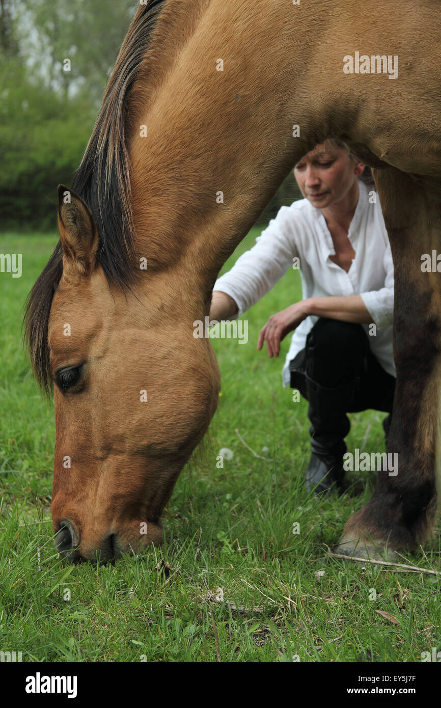 therapy on a horse Stock Photo Alamy