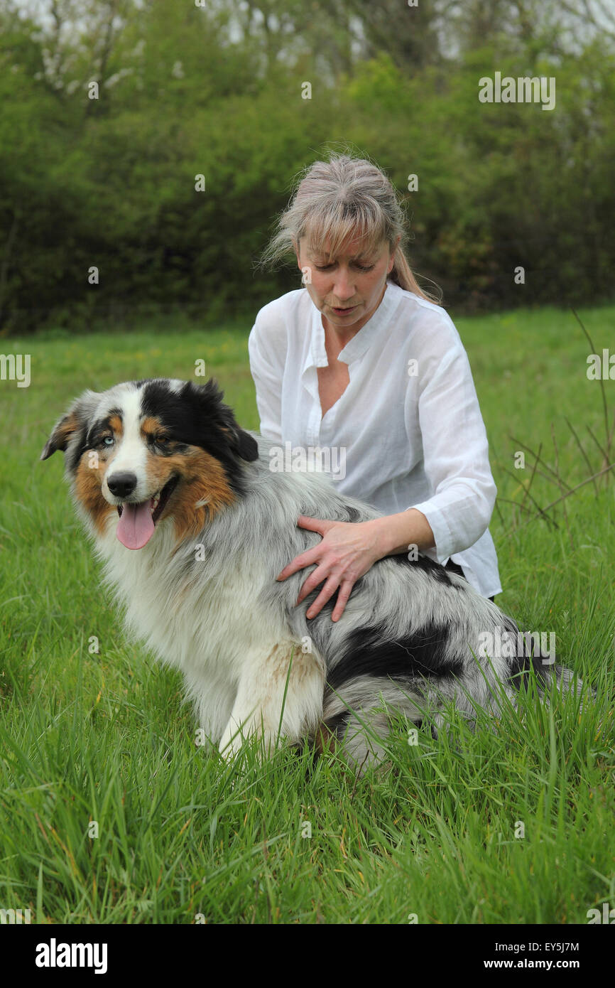 therapy on a dog Stock Photo Alamy