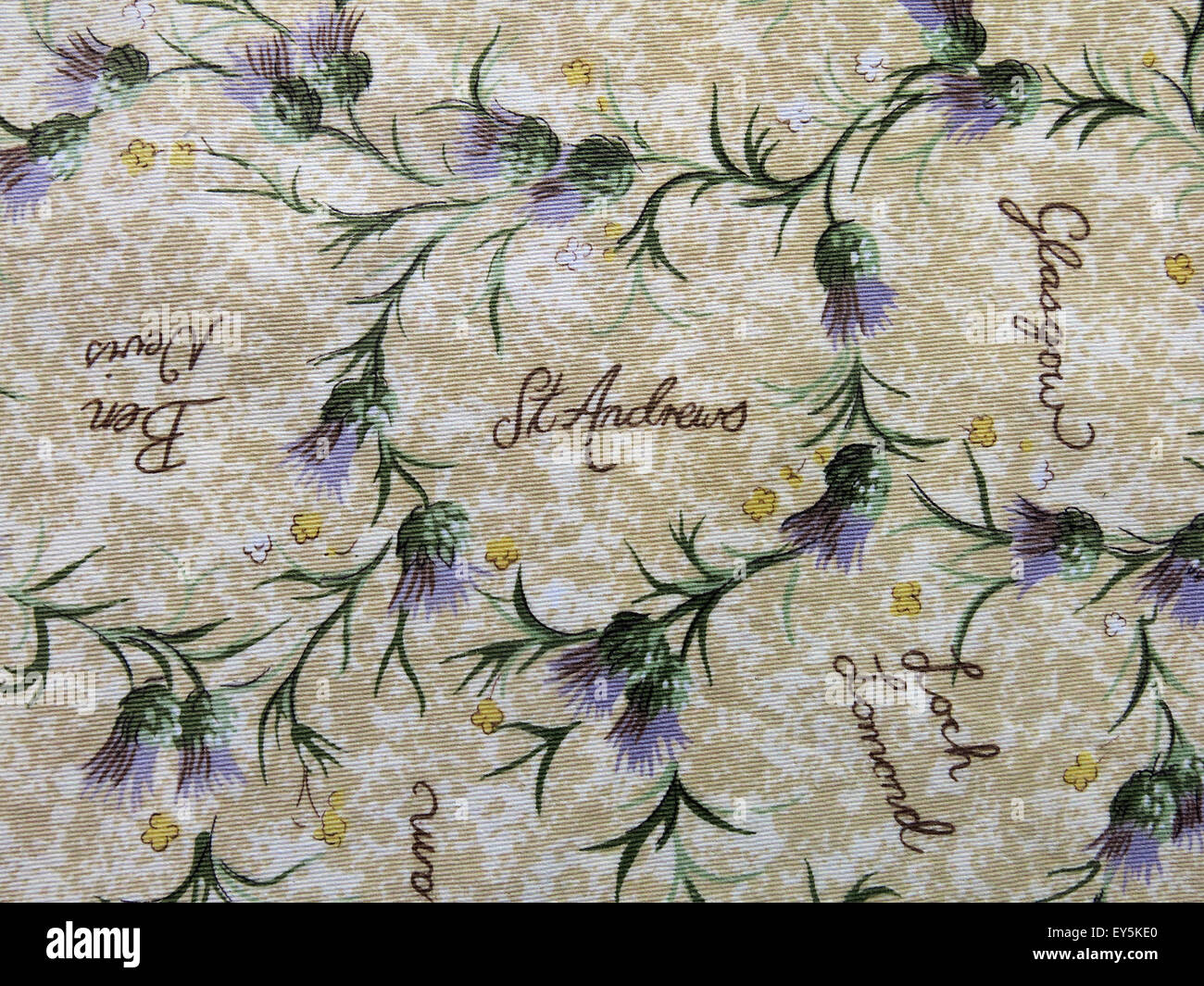 Cloth with thistles and Scottish towns listed Stock Photo