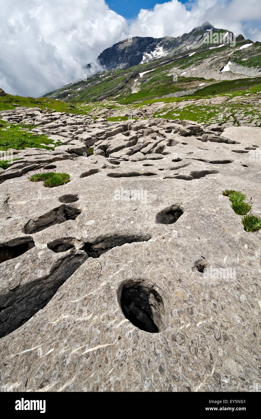 Limestone rich Cerithes - Desert Platé Alpes France Eocene rocks (- 37 Ma) formed in a brackish lagoon Stock Photo