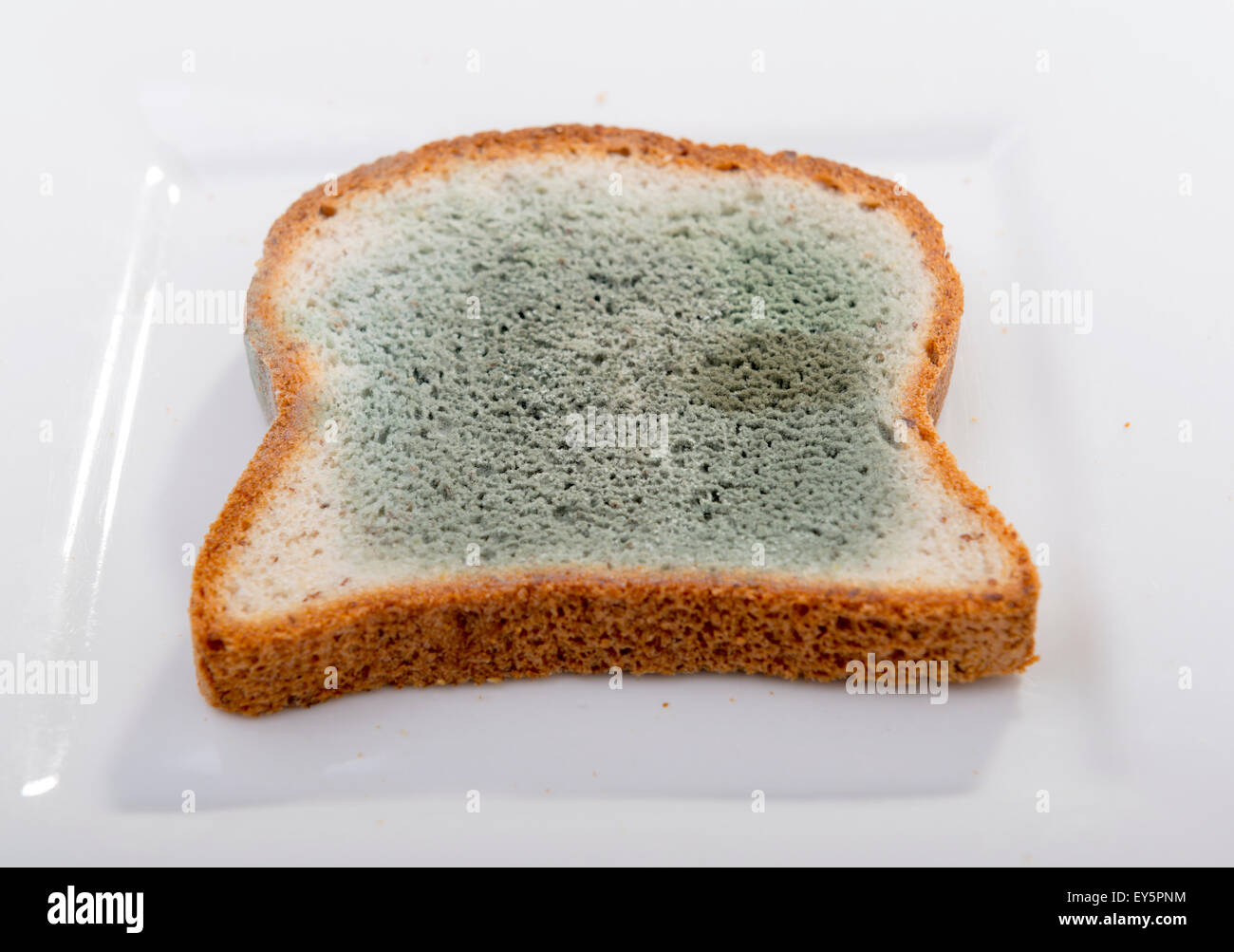 Bread mold hi-res stock photography and images - Alamy