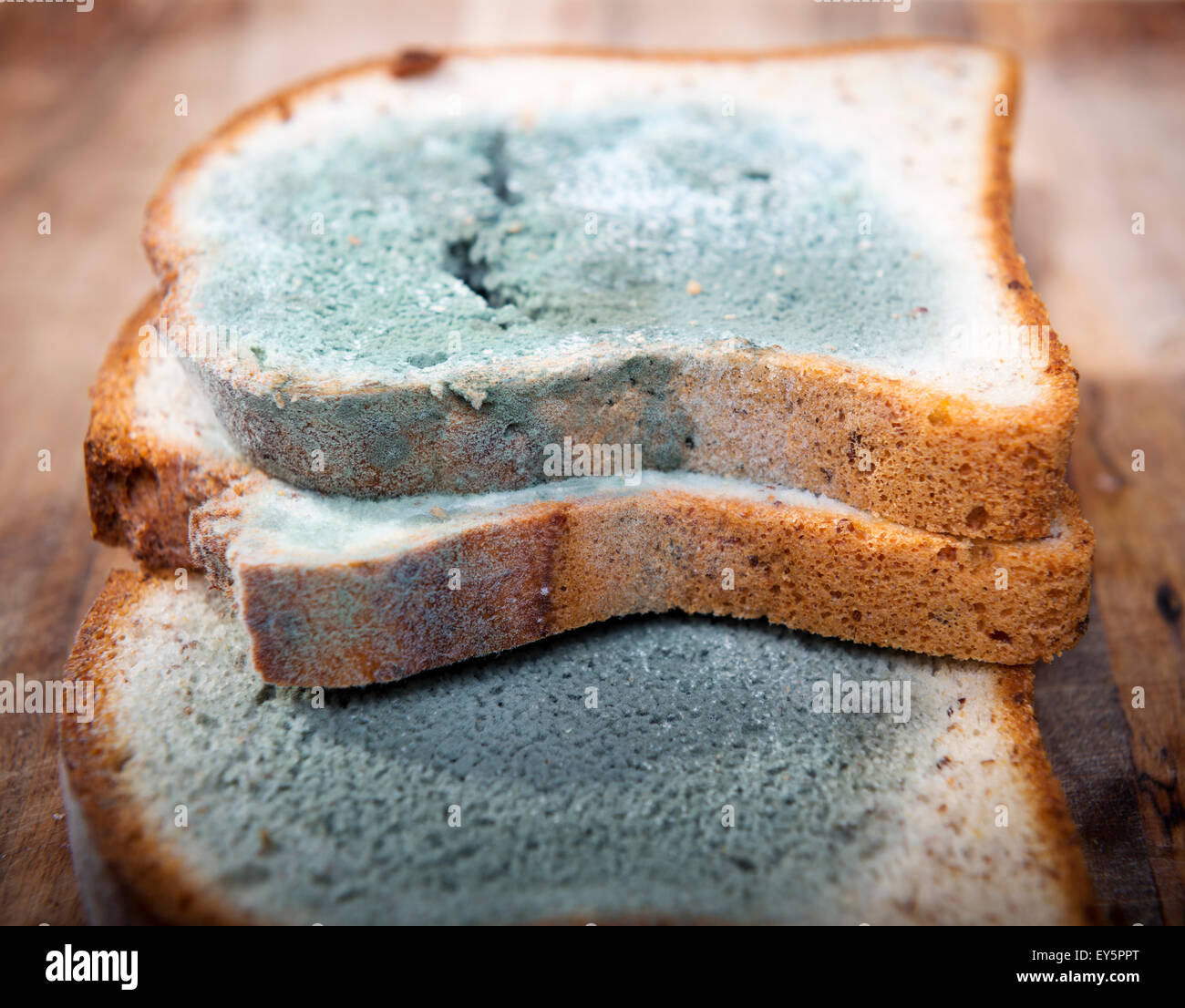 Black bread mold hi-res stock photography and images - Alamy