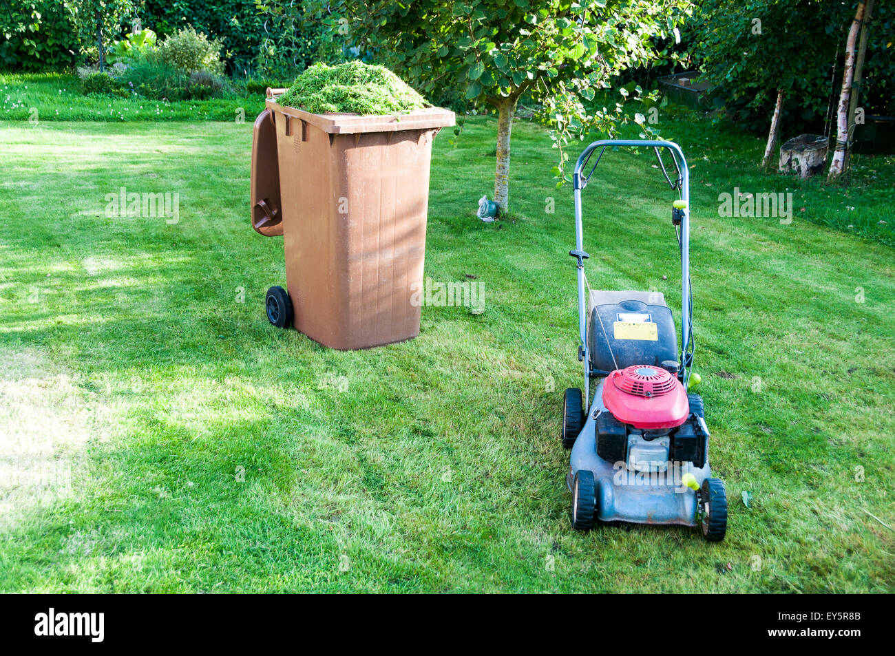 Mowing the turf in a garden Stock Photo