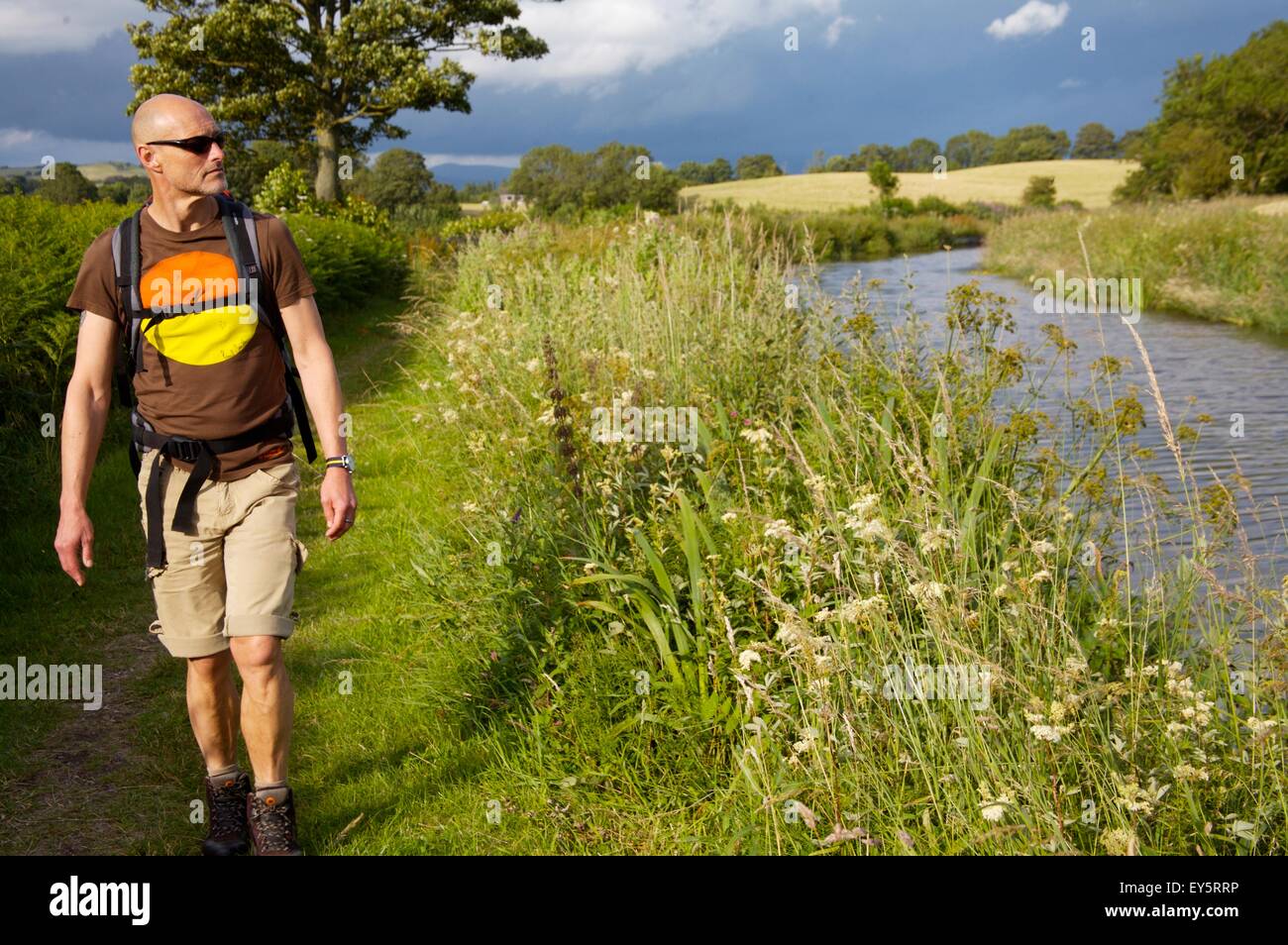 walker on towpath of Lancaster Canal, Lancashire Stock Photo