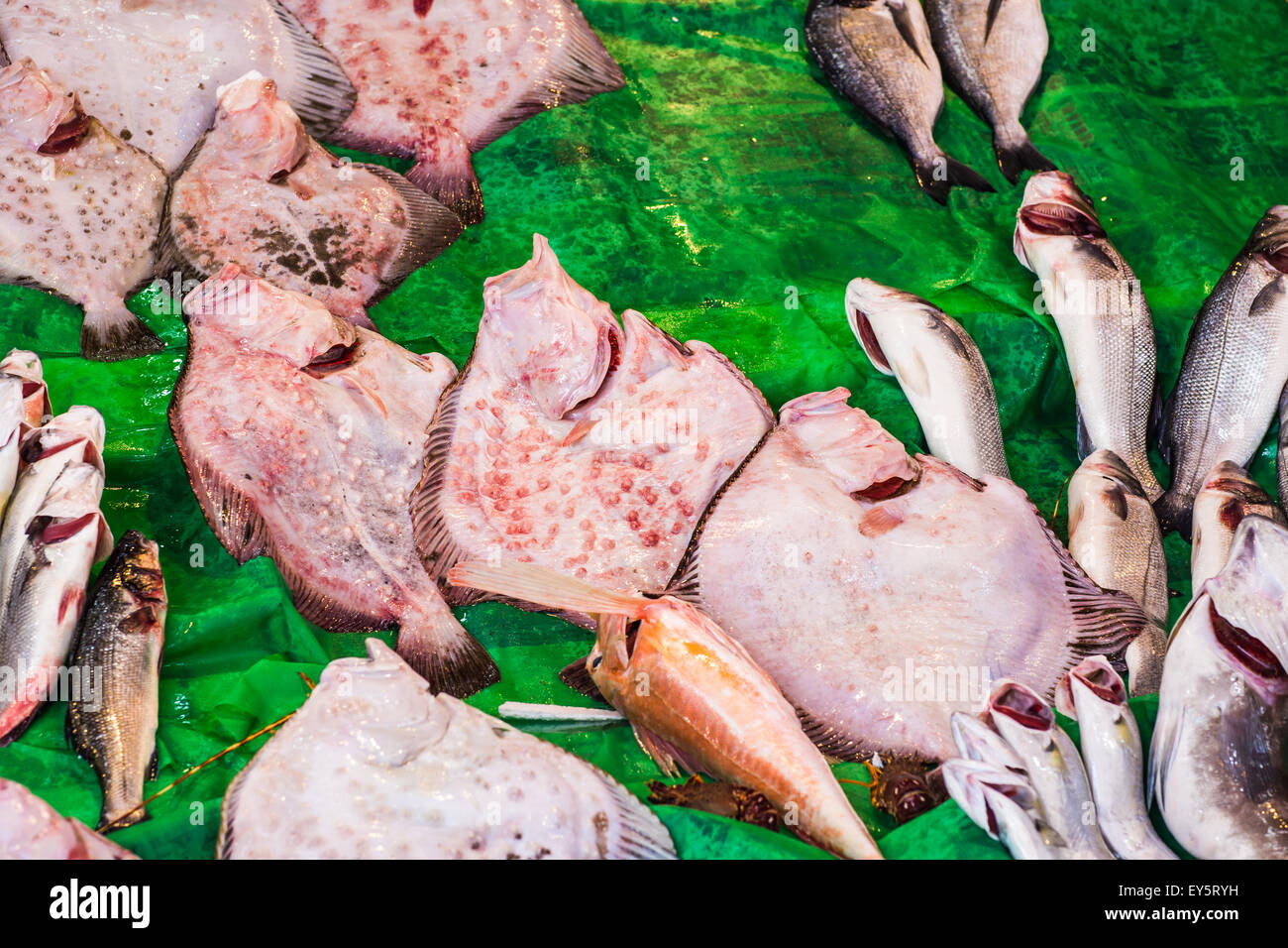 Fresh seafood in fish market Stock Photo Alamy