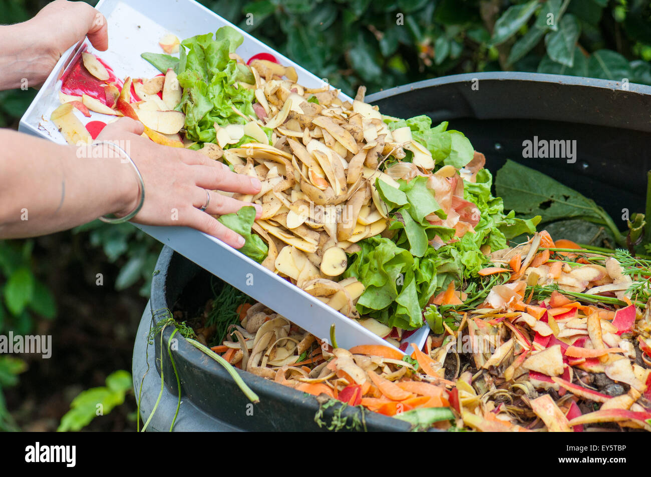 Composting of kitchen organic scraps Stock Photo
