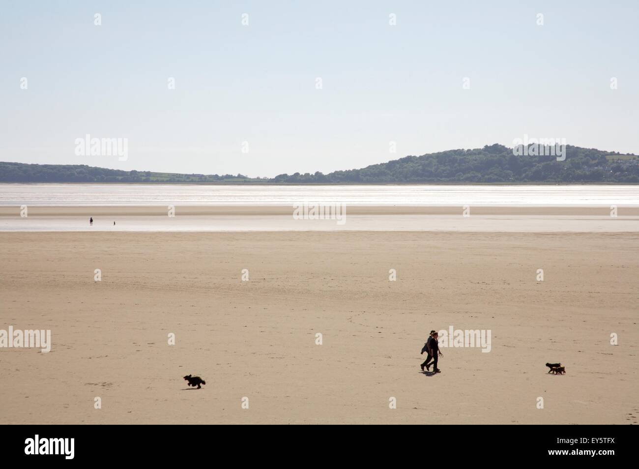 walking on the sands of the Kent estuary, near Arnside, Cumbria, England opposite Grange over Sands. Stock Photo