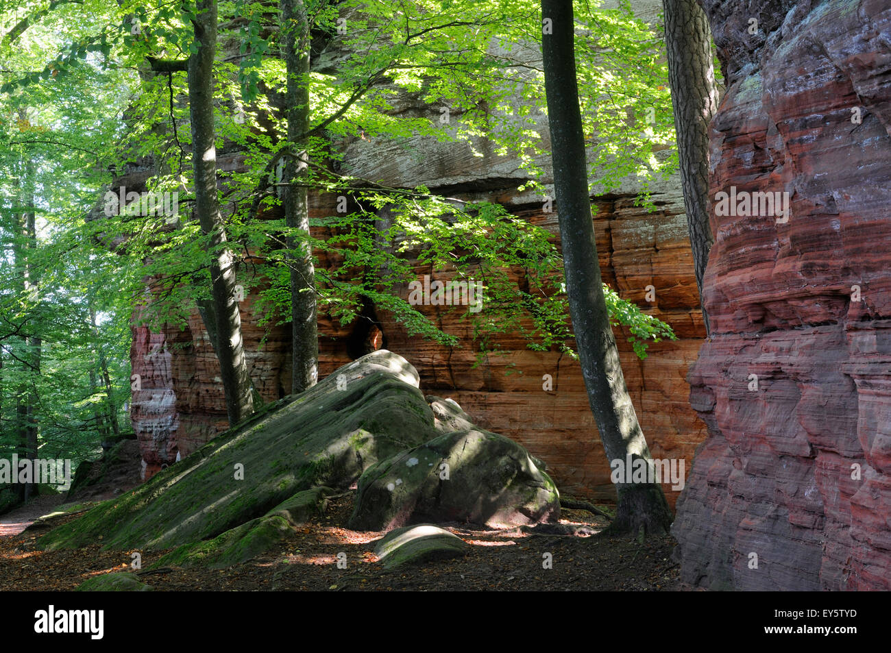Sandstone rocks Alignment - Palatinate Forest Germany Altschlossfelsen ...