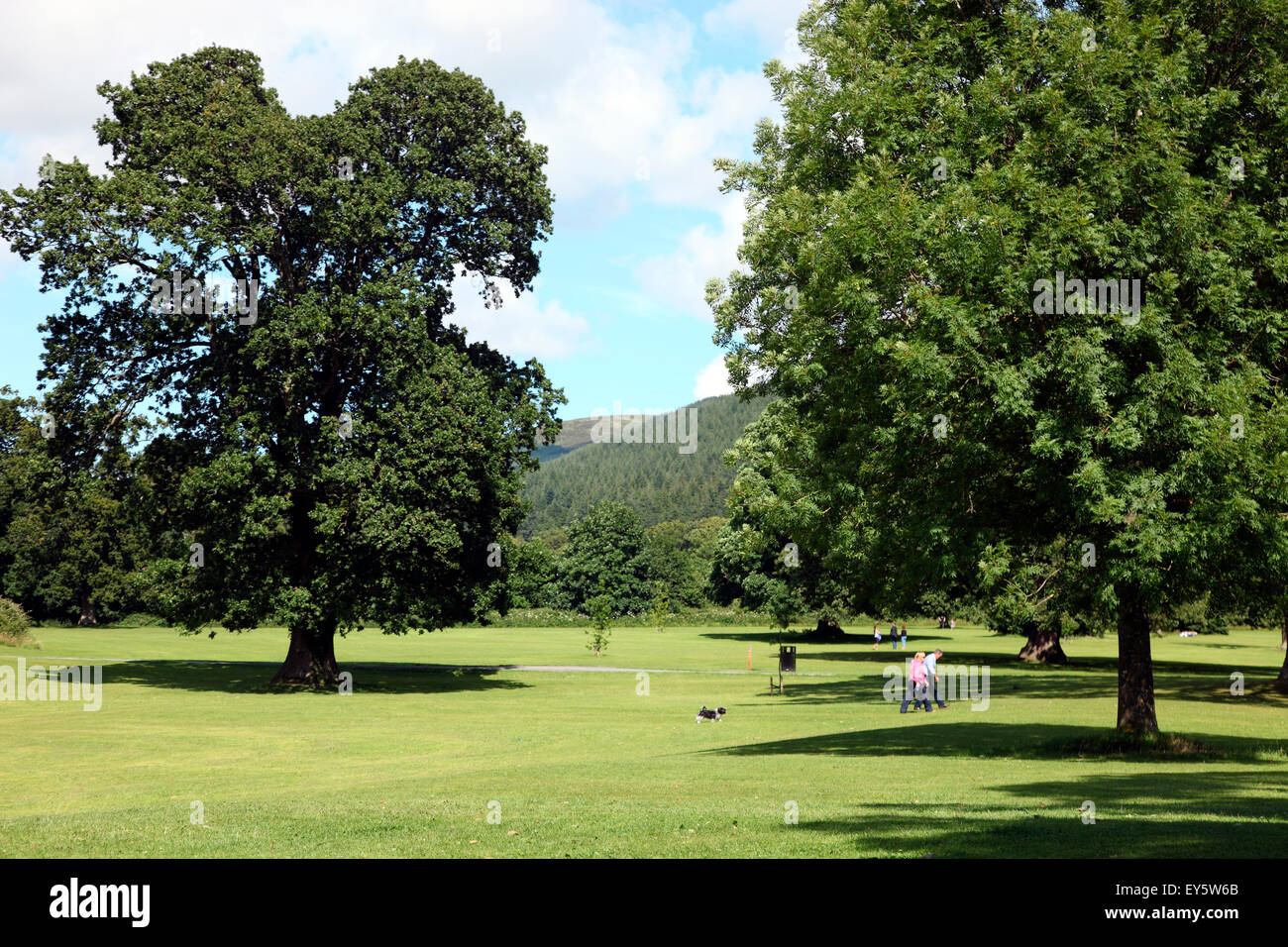 Kilbroney Park, Rostrevor County Down Stock Photo