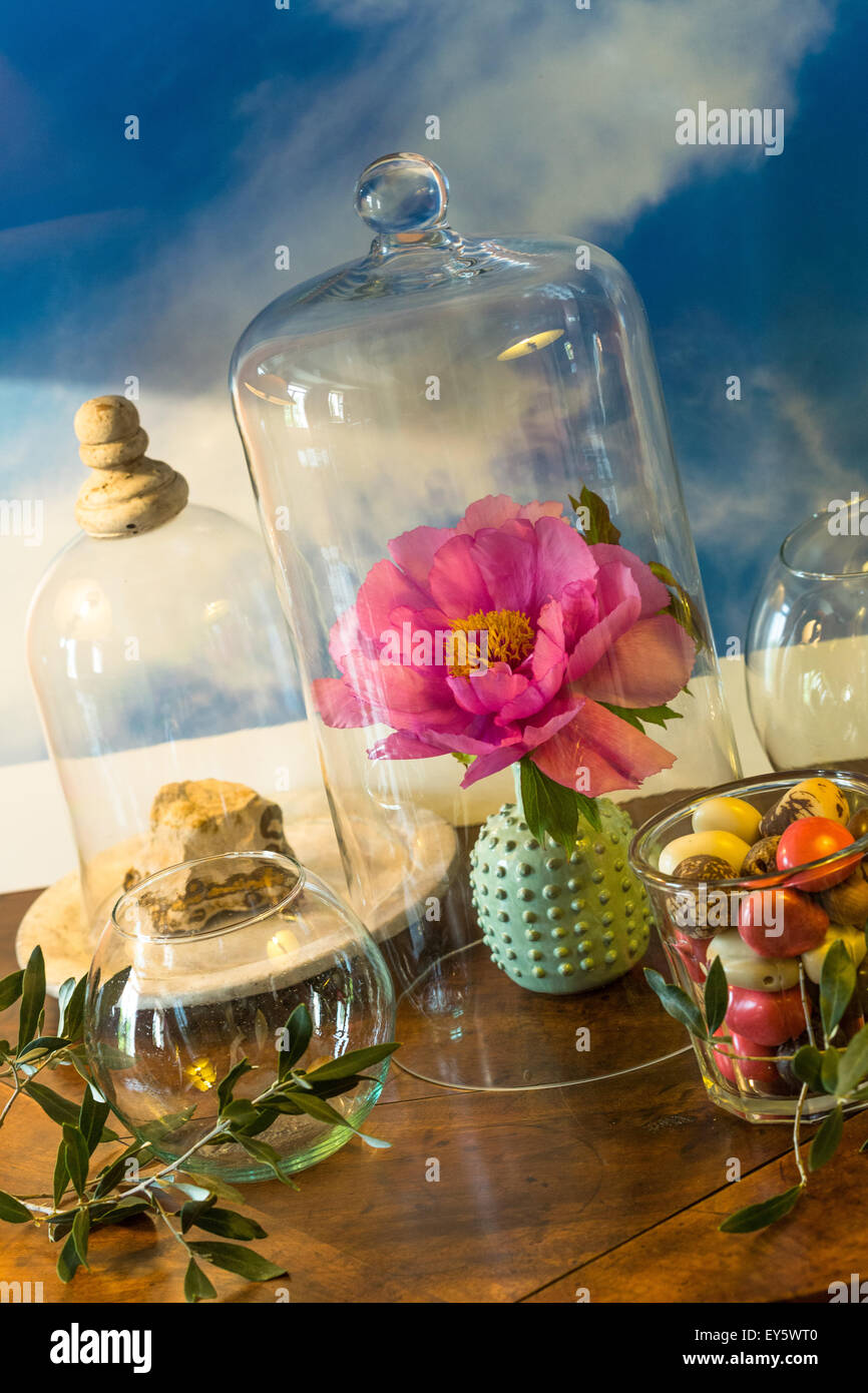Peony flower inside a house Stock Photo Alamy