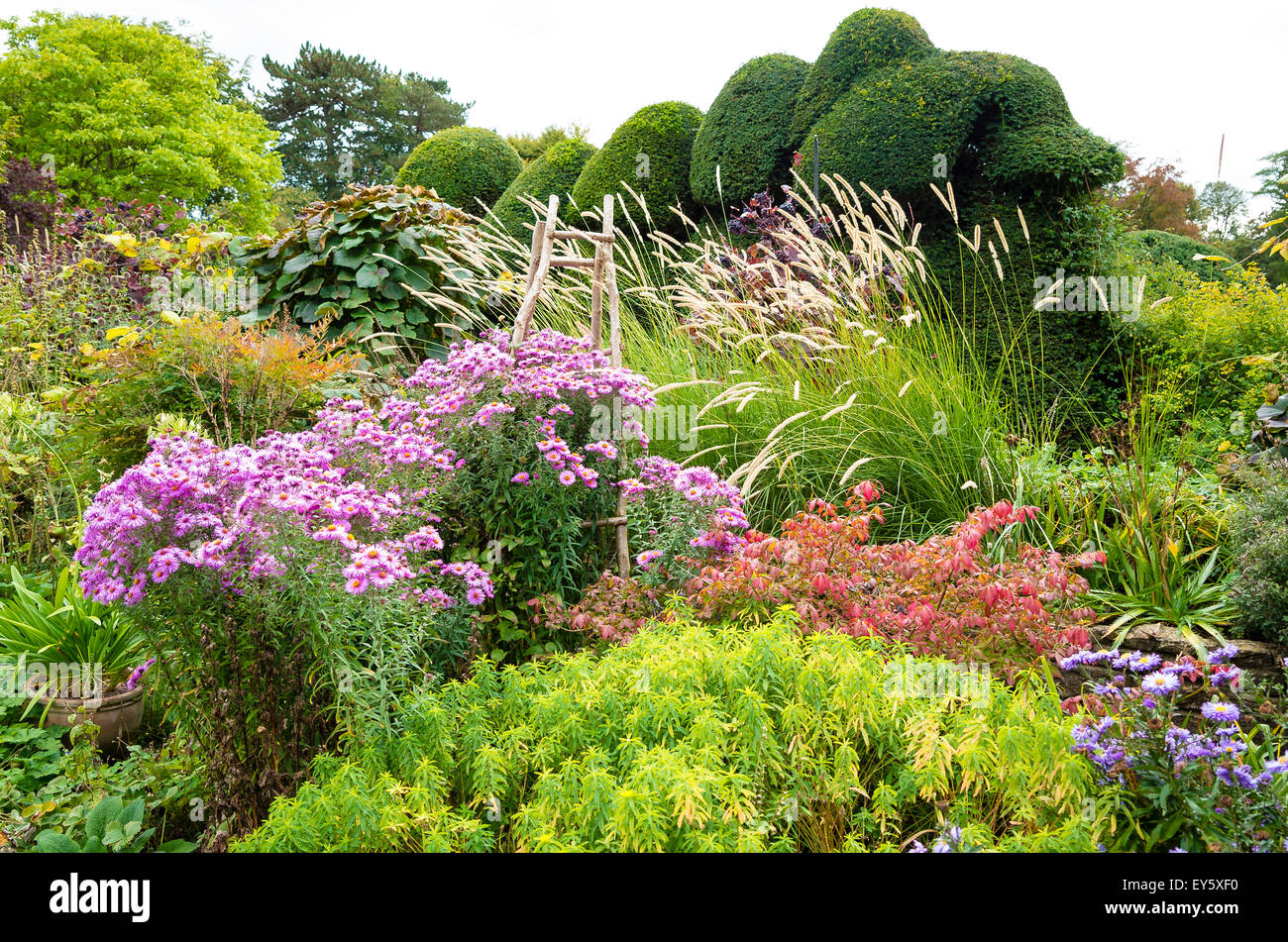 Herbaceous border at The Courts garden in September Stock Photo