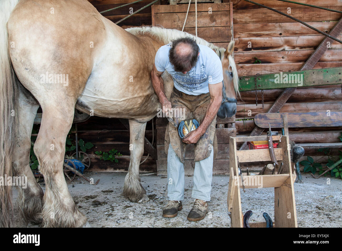 Blacksmith working on Trait Comtois horse - France Parrage and horseshoe poses Stock Photo