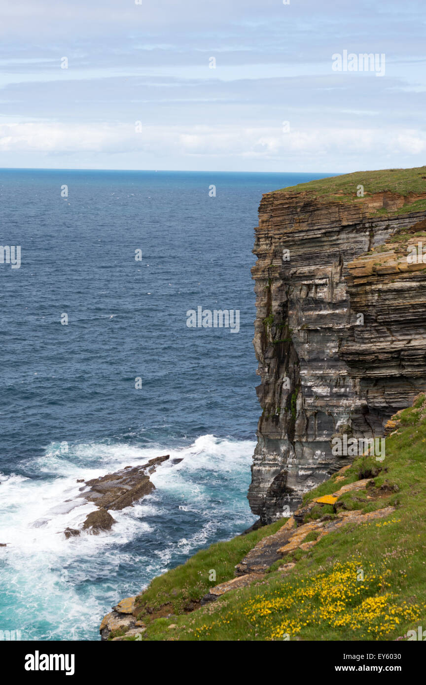 Rugged coastline at the RSPB site of Marwick Head, Mainland Orkney, Scotland Stock Photo