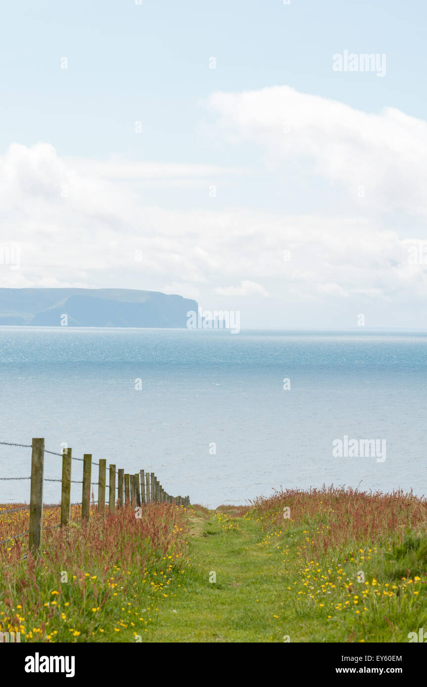 The island of Hoy in the distance viewed from a pathway at the RSPB site Marwick Head, Orkney Islands, Scotland Stock Photo