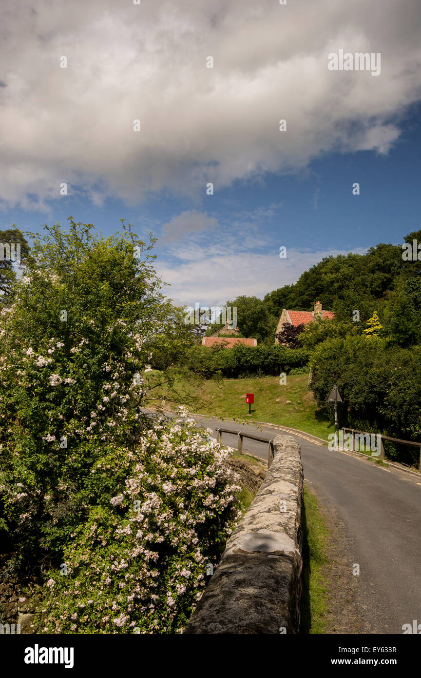 Scarborough and whitby railway hi-res stock photography and images - Alamy