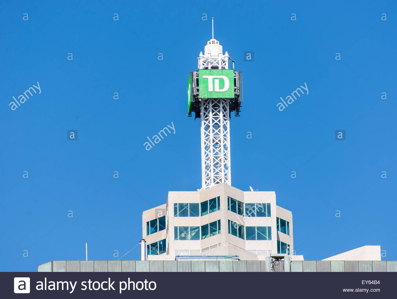 Td canada trust stock options