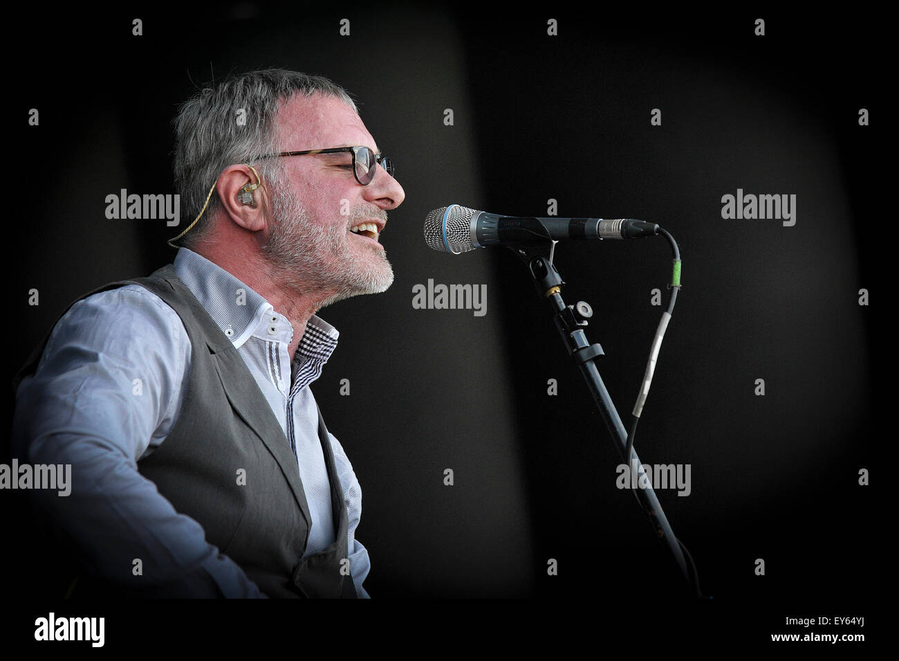 Steve Harley & Cockney rebel performing at the Brentwood Festival 2015. Stock Photo