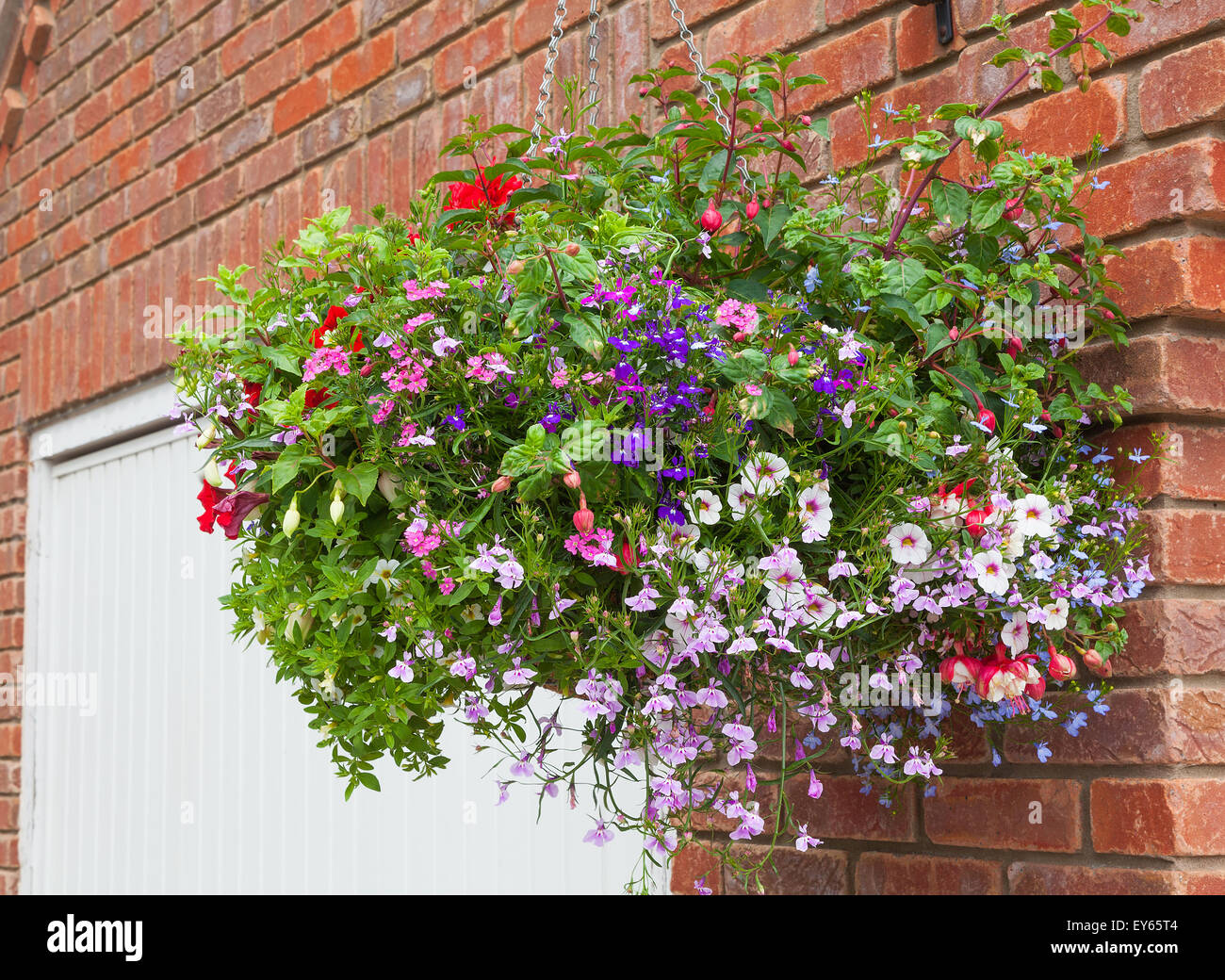 Colorful hanging basket of summer flowers Stock Photo Alamy