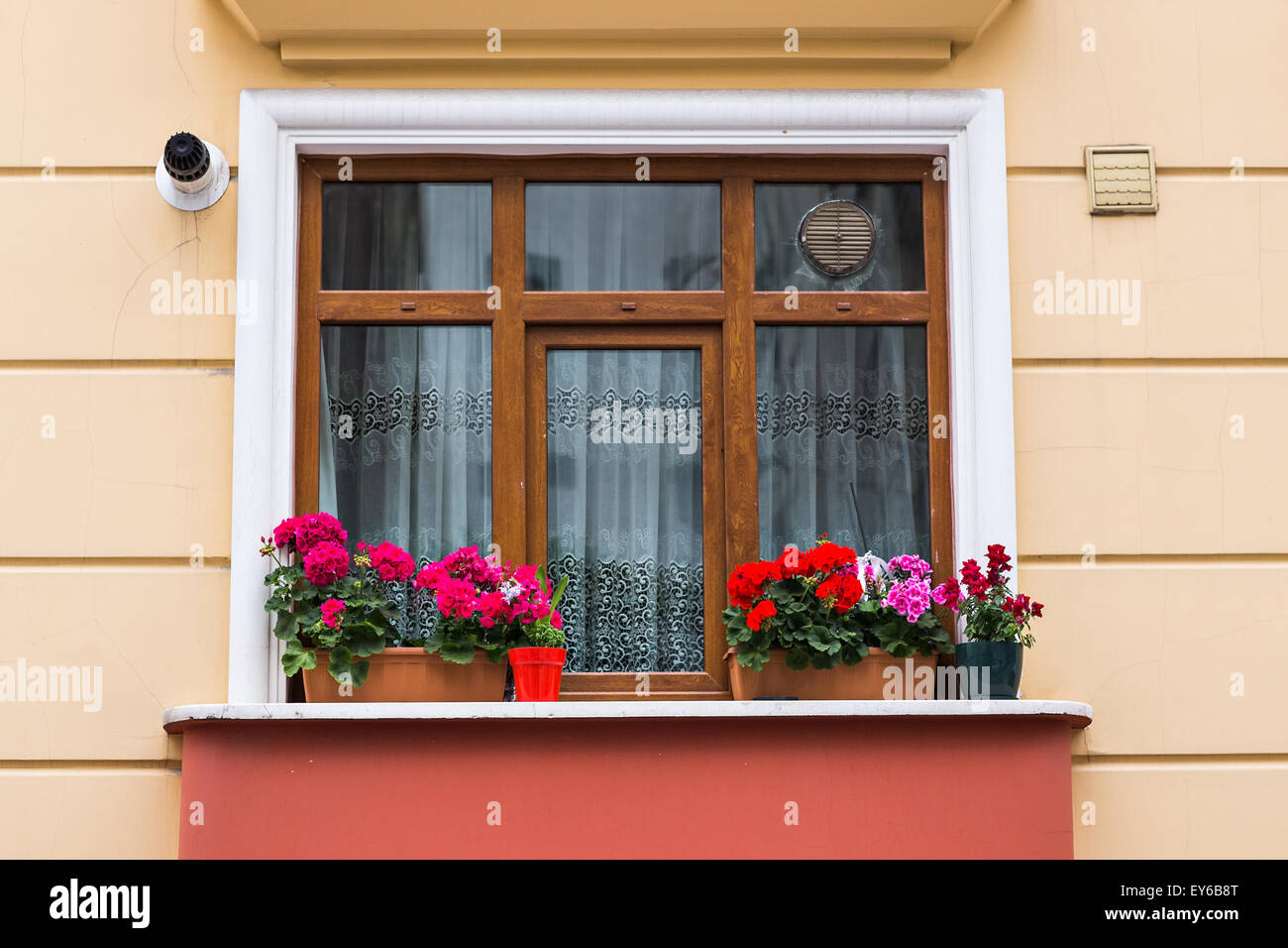 window with roses Stock Photo - Alamy
