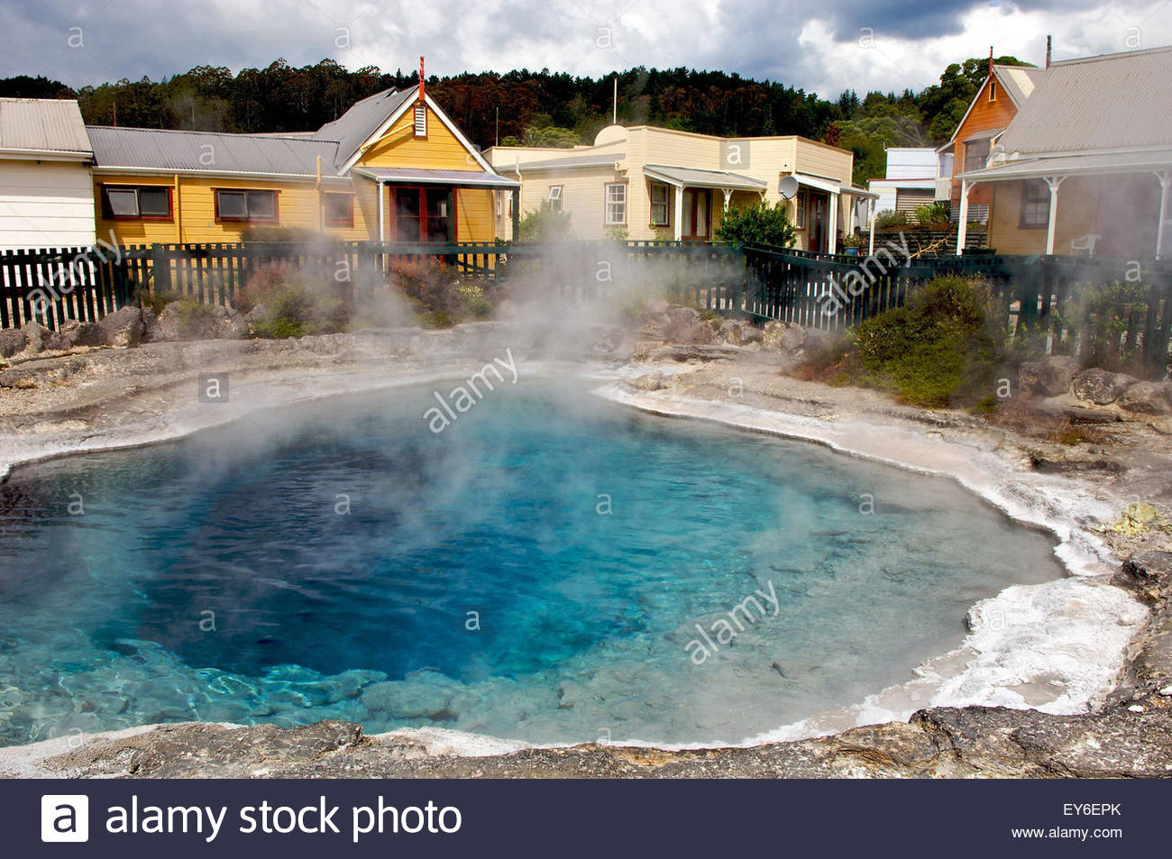Hot spring in the heart of Whakarewarewa Maori village ...