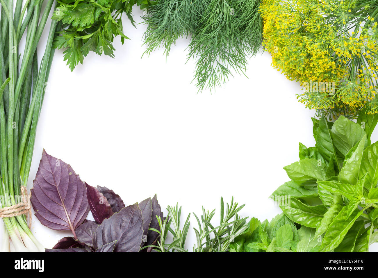 Fresh garden herbs frame. Isolated on white background Stock Photo - Alamy