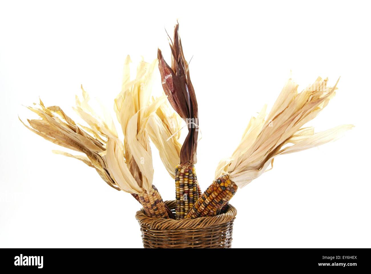 Maize tassels hires stock photography and images Alamy